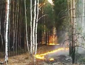 Лесные пожары 2014